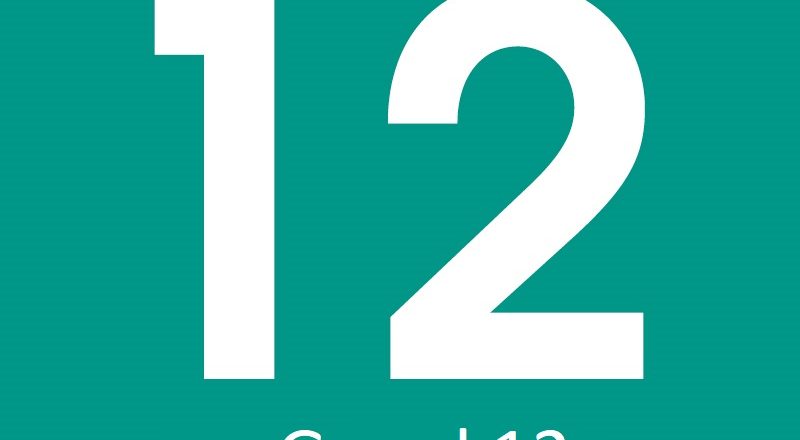 graad 12 icon